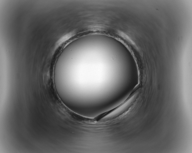 X0000086781261200704271803