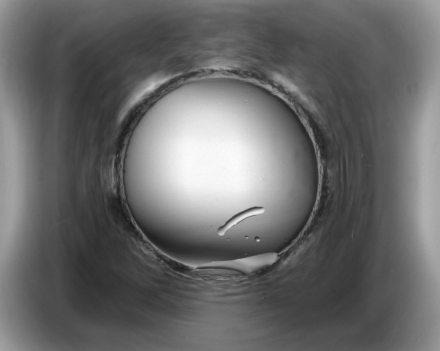 X0000086781262200704271803