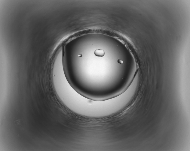 X0000086781263200704271803