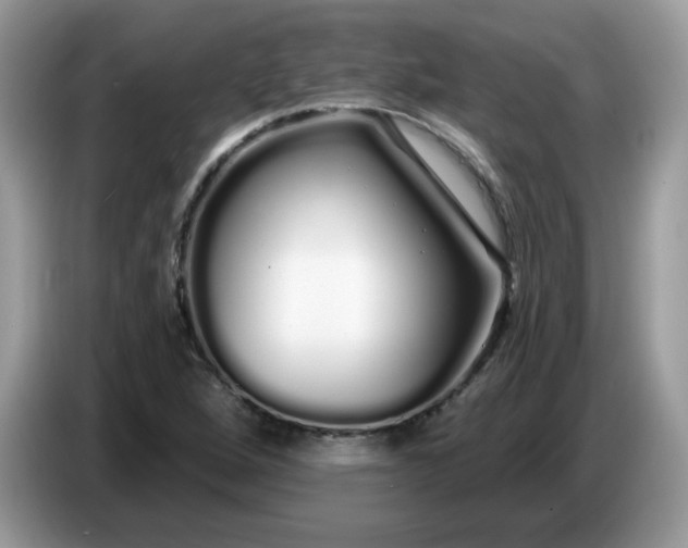 X0000086781264200704271803