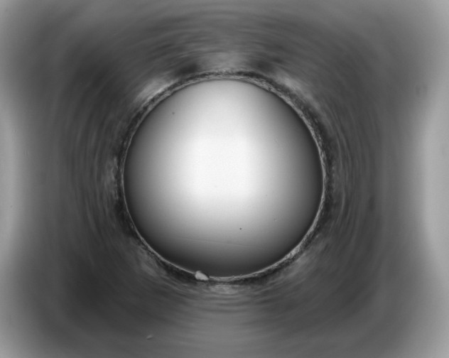 X0000086781265200704271803