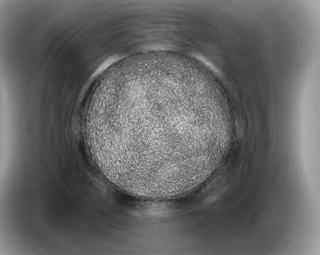 X0000086781266200704271803