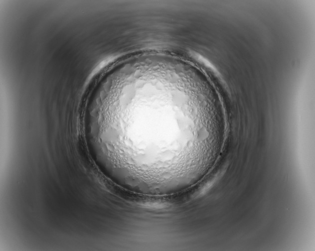 X0000086781267200704271803