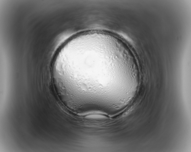 X0000086781271200704271803