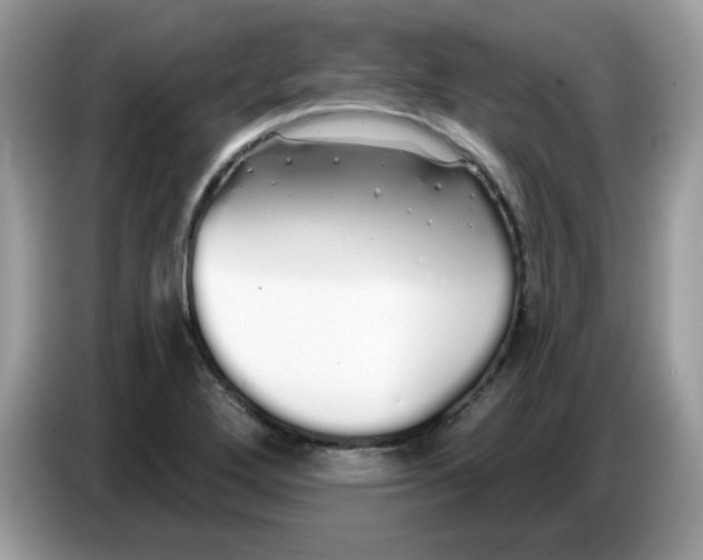 X0000086781272200704271803