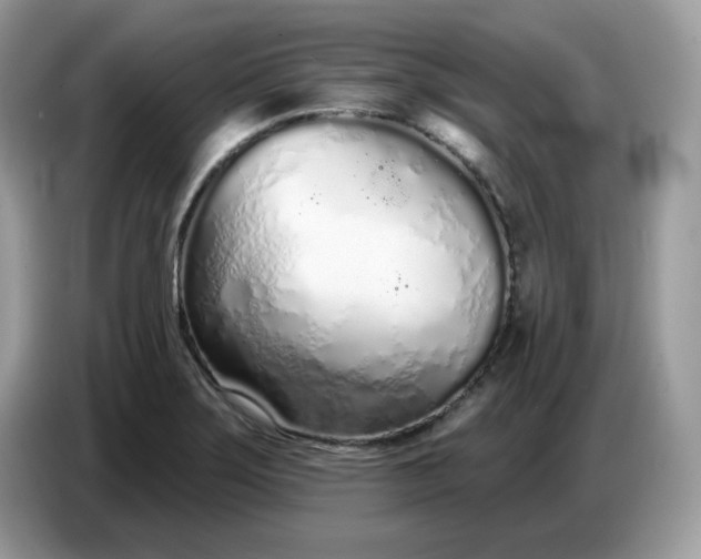 X0000086781275200704271803