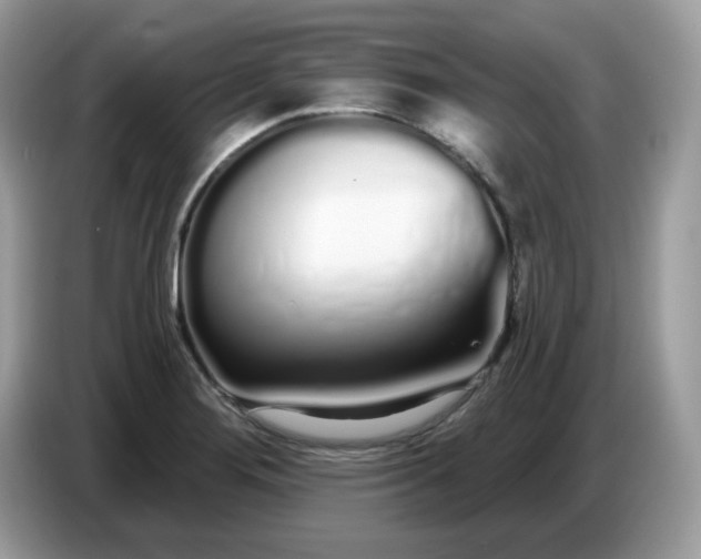 X0000086781276200704271803