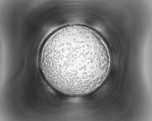 X0000086781278200704271803