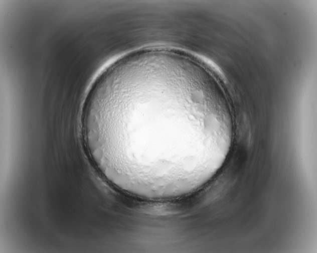 X0000086781279200704271803