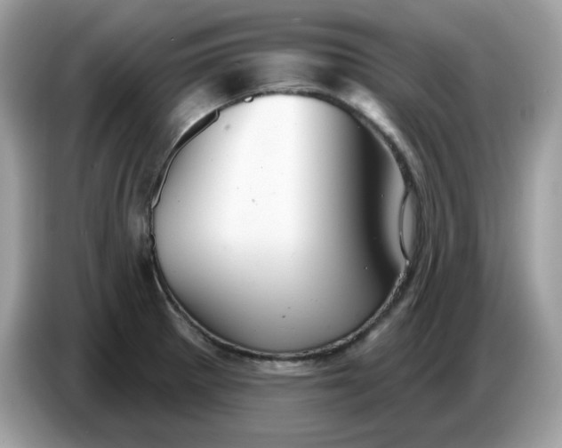 X0000086781281200704271803