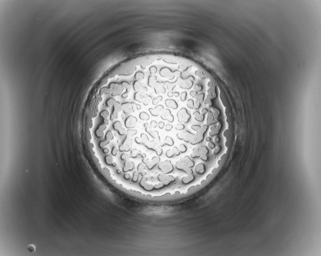 X0000086781282200704271803