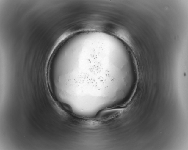 X0000086781283200704271803