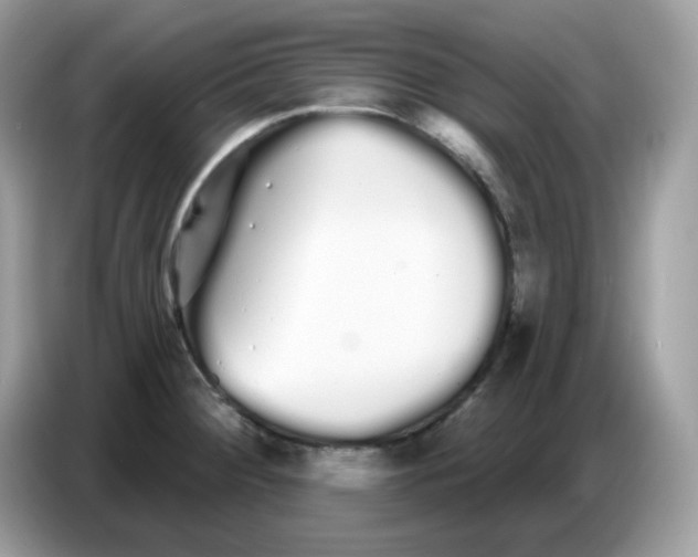 X0000086781284200704271802