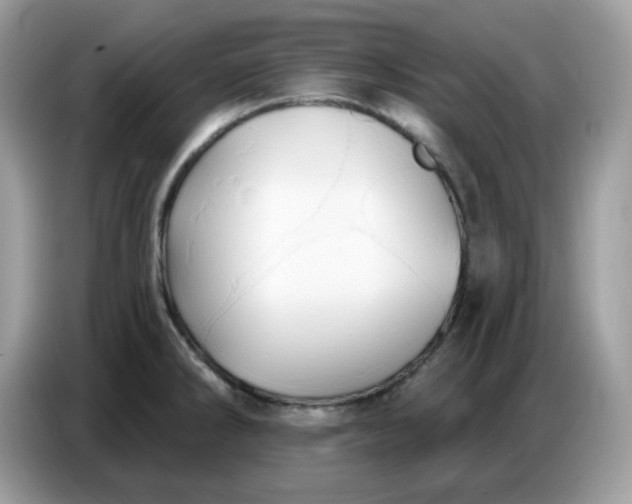 X0000086781286200704271802