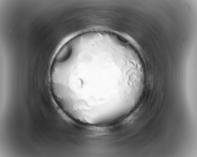 X0000086781287200704271802