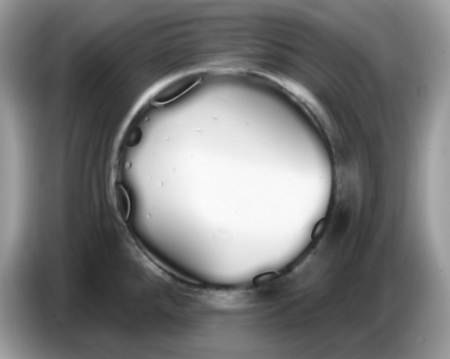 X0000086781288200704271802