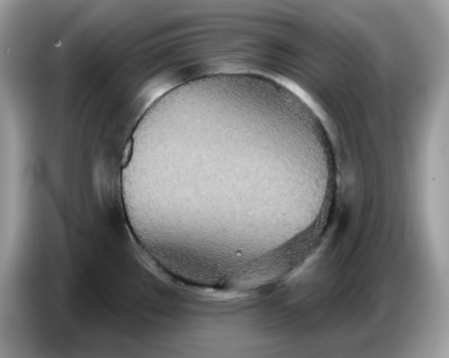 X0000086781289200704271802