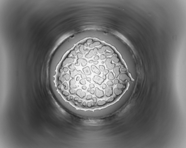 X0000086781290200704271802