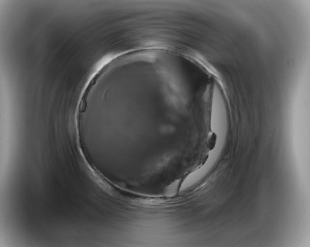 X0000086781291200704271802