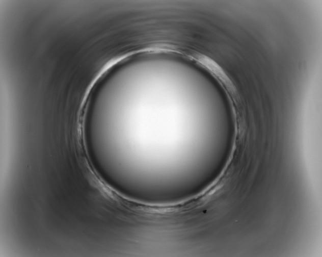 X0000086781292200704271802