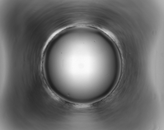 X0000086781296200704271802