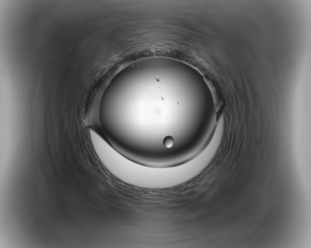 X0000086781298200704271802