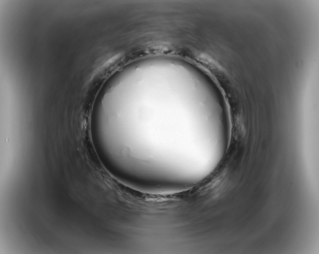 X0000086781302200704271802