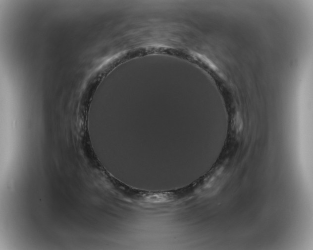 X0000086781303200704271802