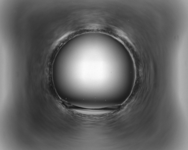 X0000086781304200704271802