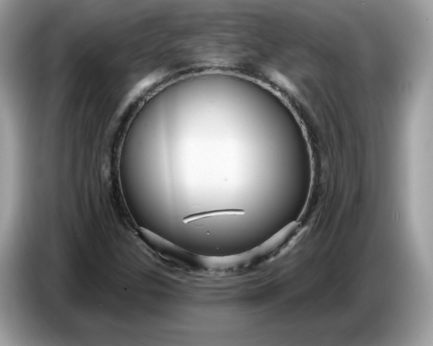 X0000086781307200704271802