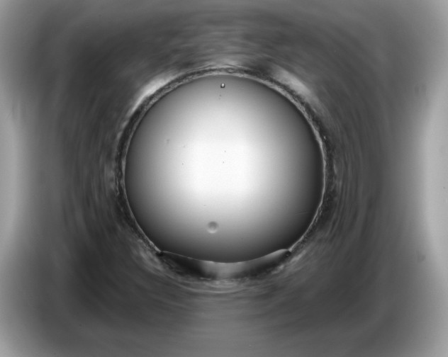 X0000086781308200704271802