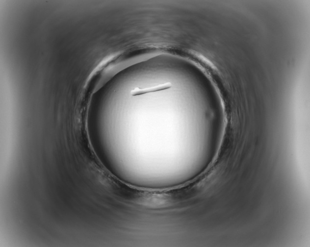 X0000086781309200704271802