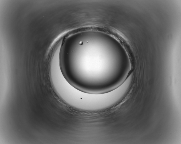 X0000086781310200704271802