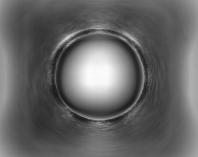 X0000086781311200704271802