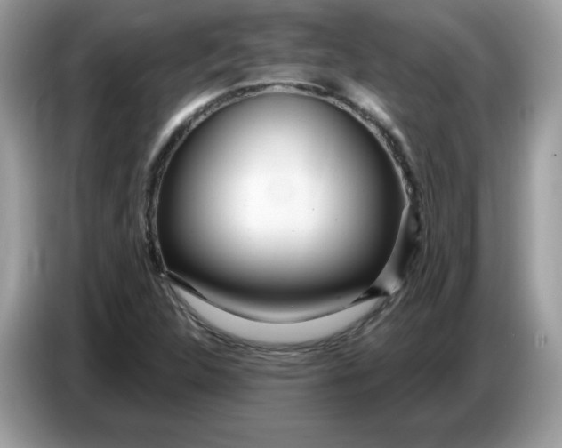 X0000086781312200704271802