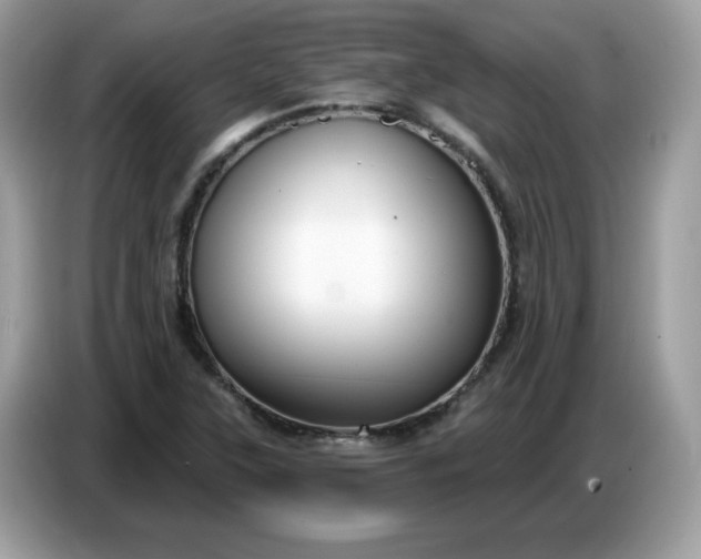 X0000086781315200704271802