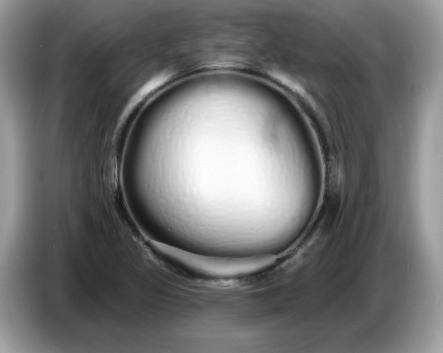 X0000086781317200704271802