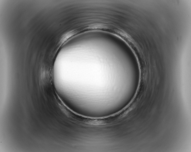 X0000086781321200704271802