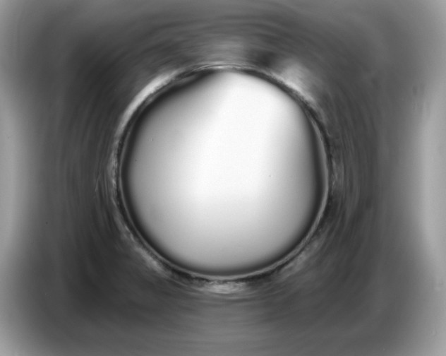 X0000086781325200704271802