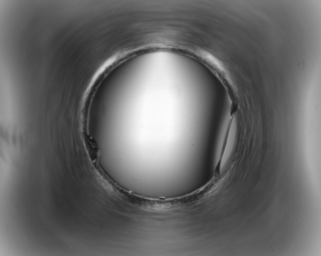 X0000086781326200704271802