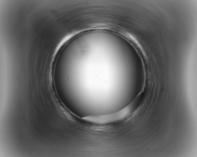 X0000086781328200704271802