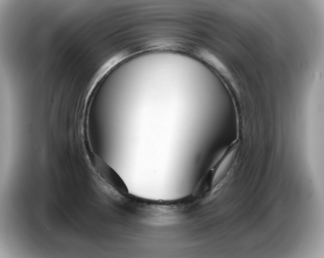 X0000086781330200704271802