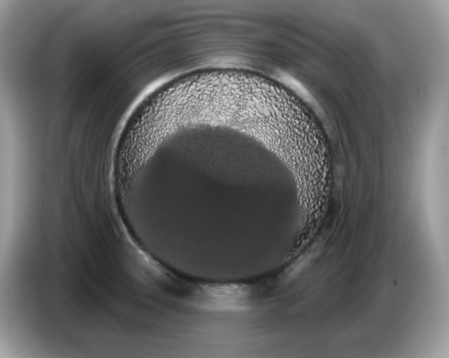 X0000086781331200704271802