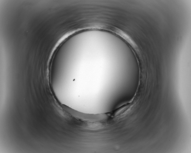 X0000086781332200704271802