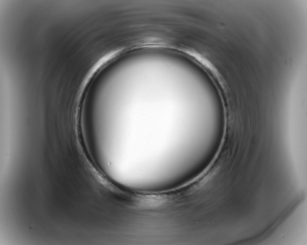 X0000086781333200704271802