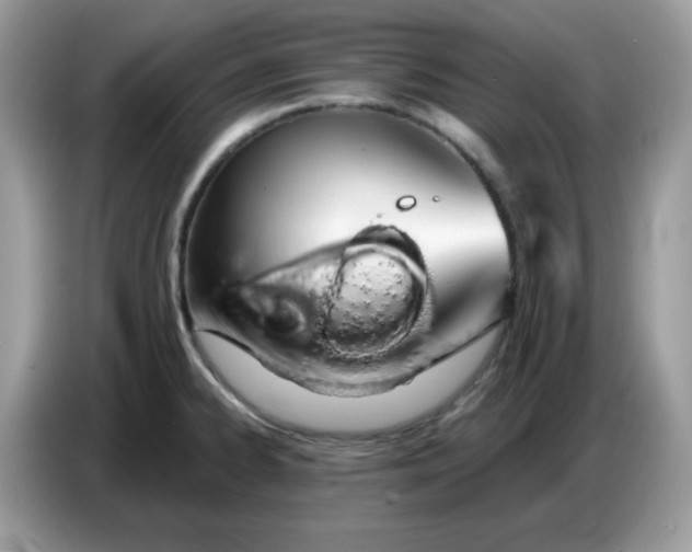 X0000086781334200704271802