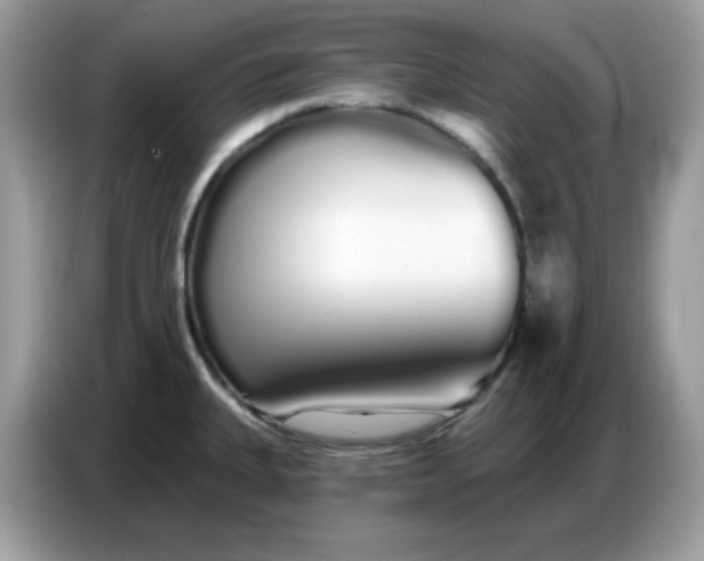 X0000086781335200704271802