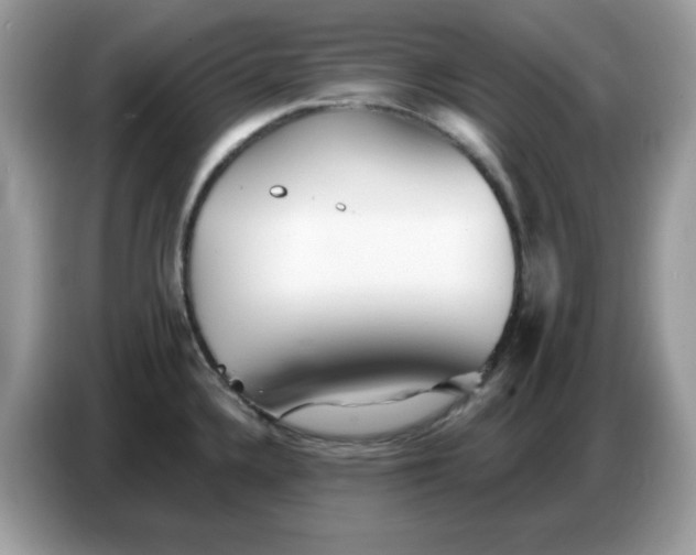 X0000086781336200704271802