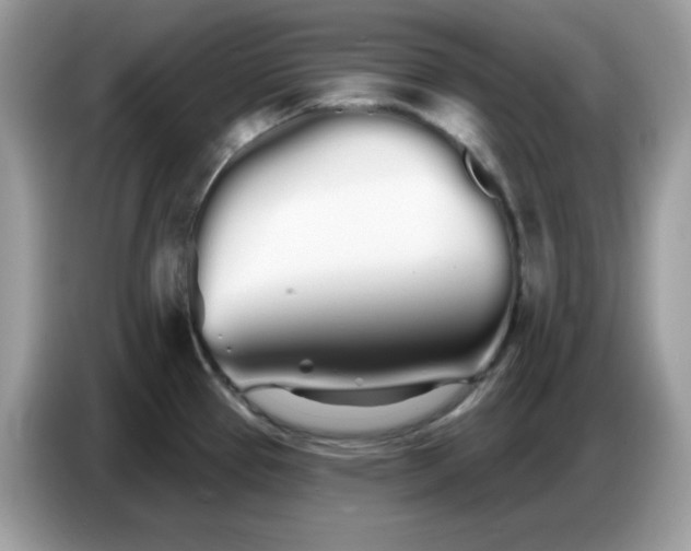 X0000086781337200704271802