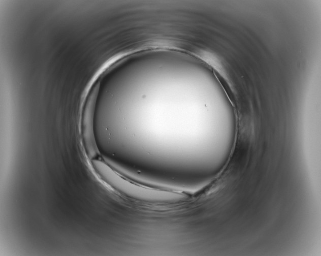 X0000086781339200704271802